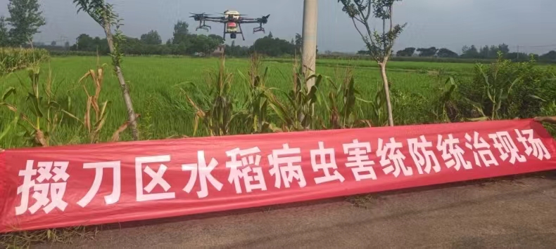 微信图片_20240305153642