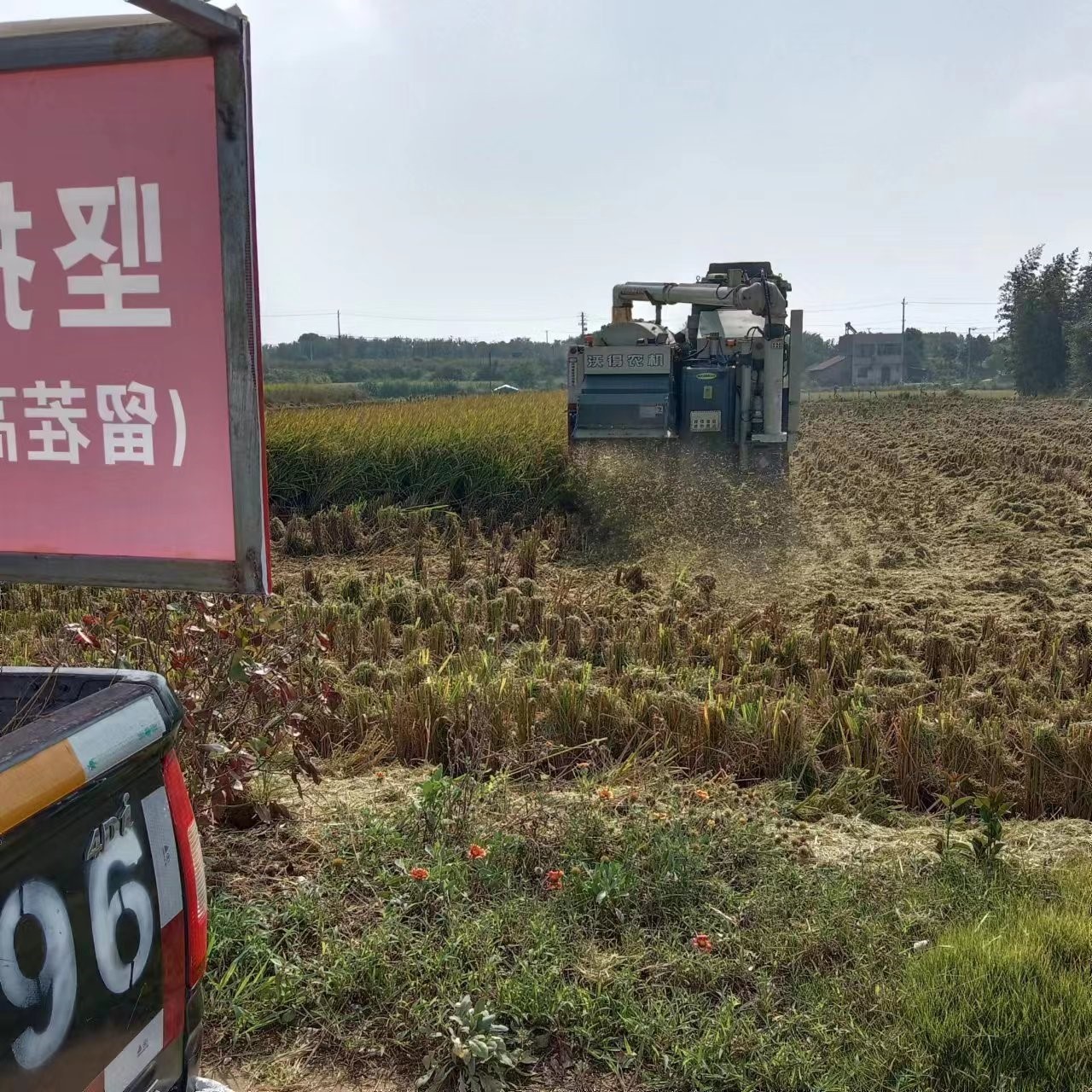 图片5