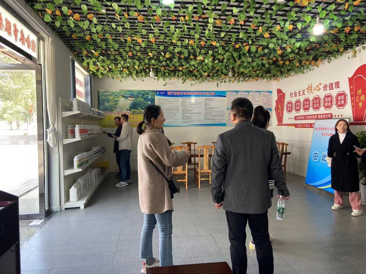 图片8