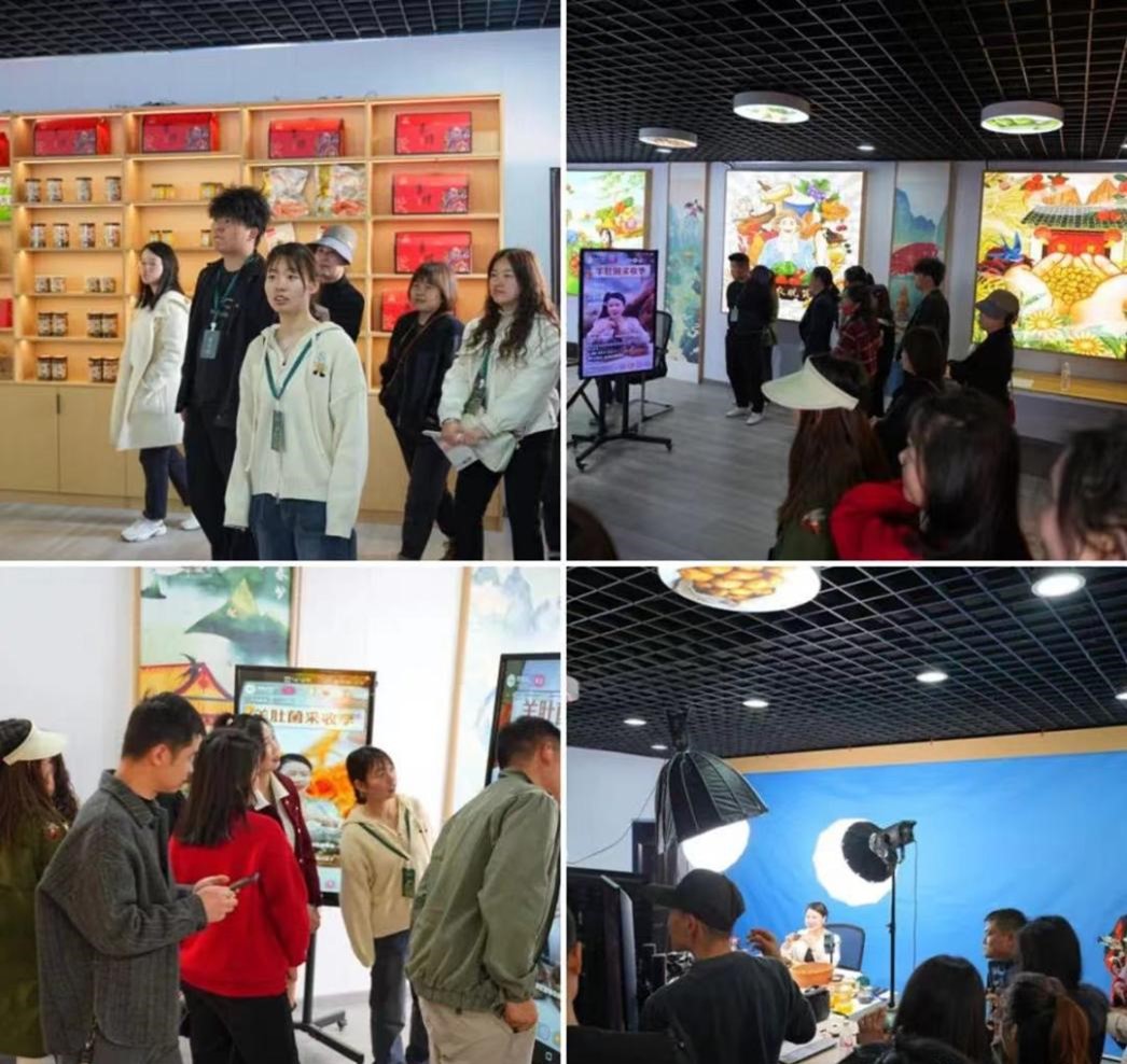 图片13