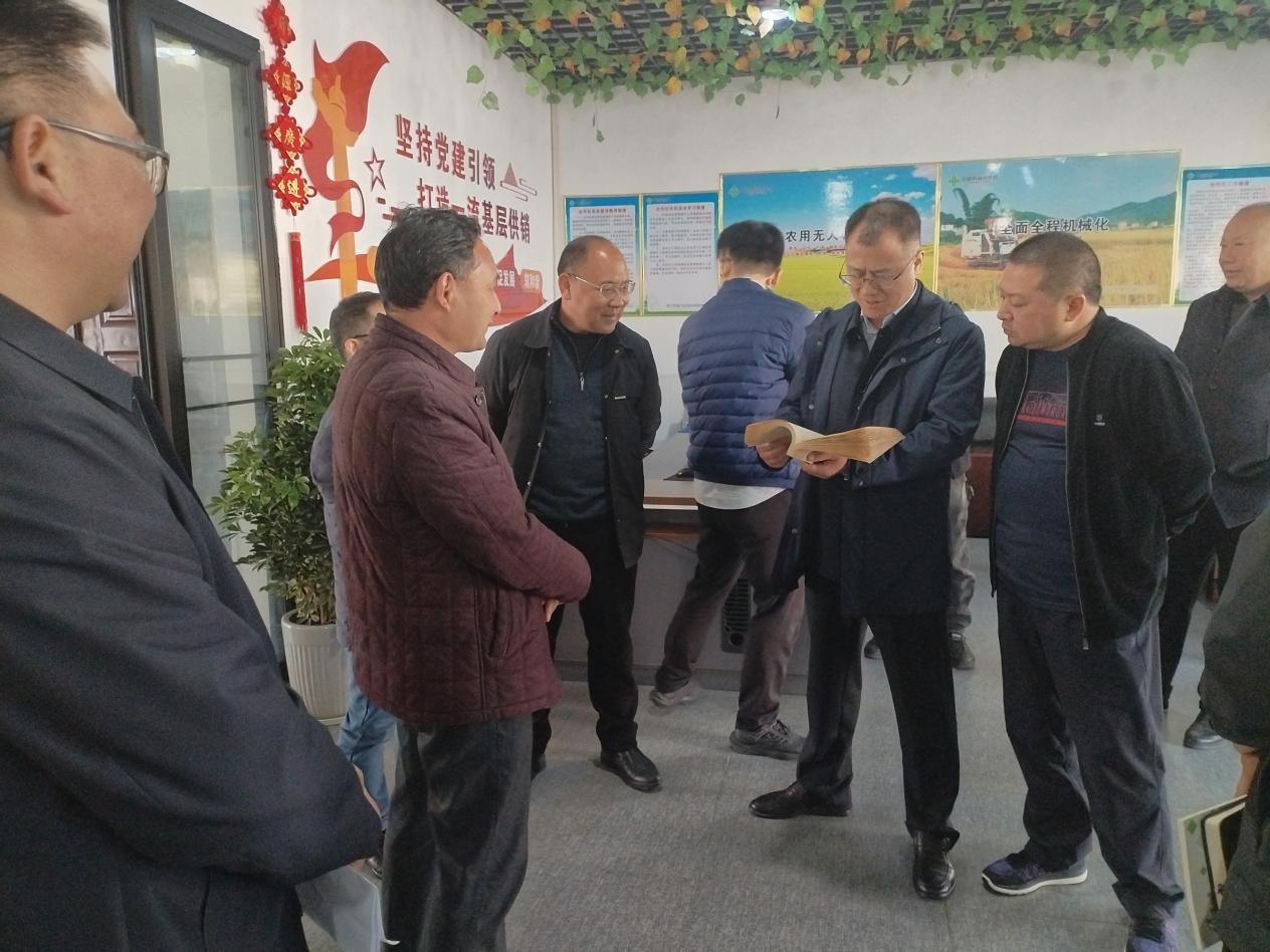 图片8