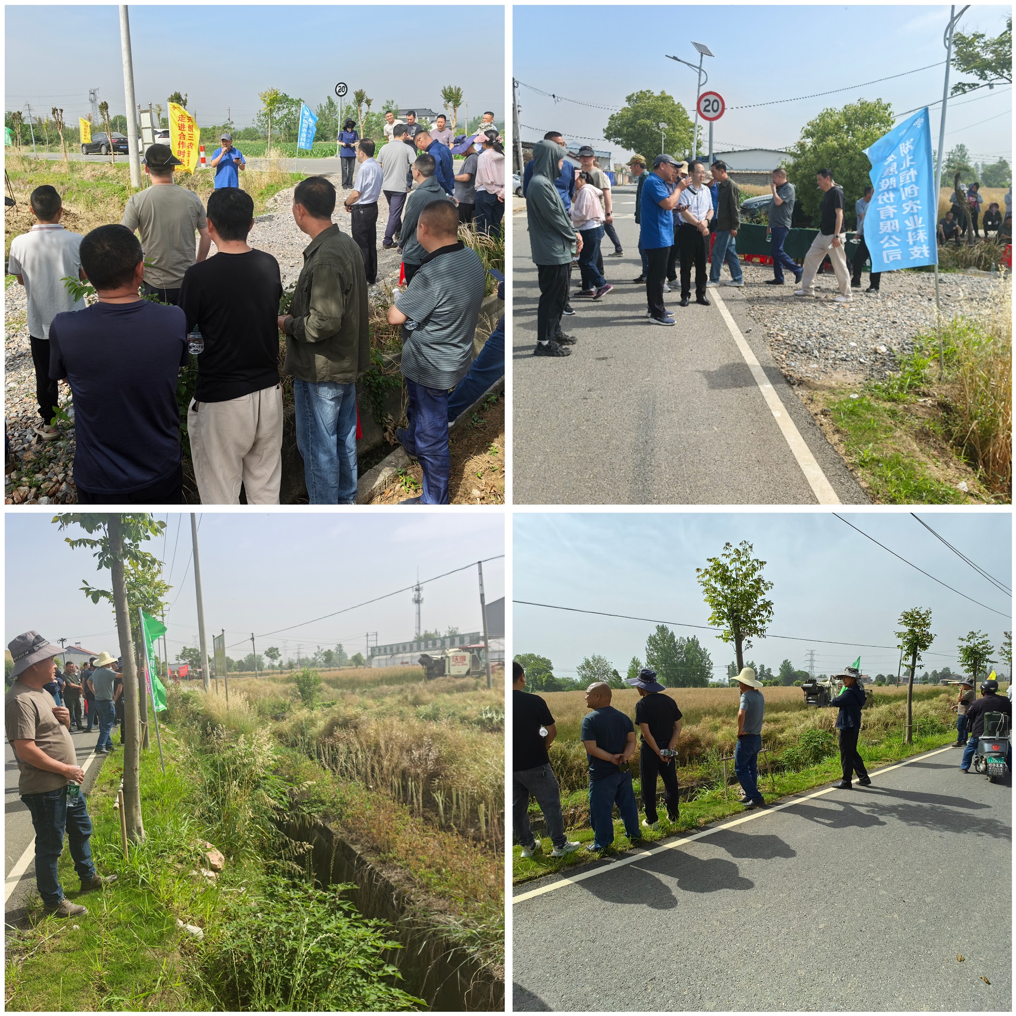 8d9261e8b3dadd4fb9c3a65f03fdbb3