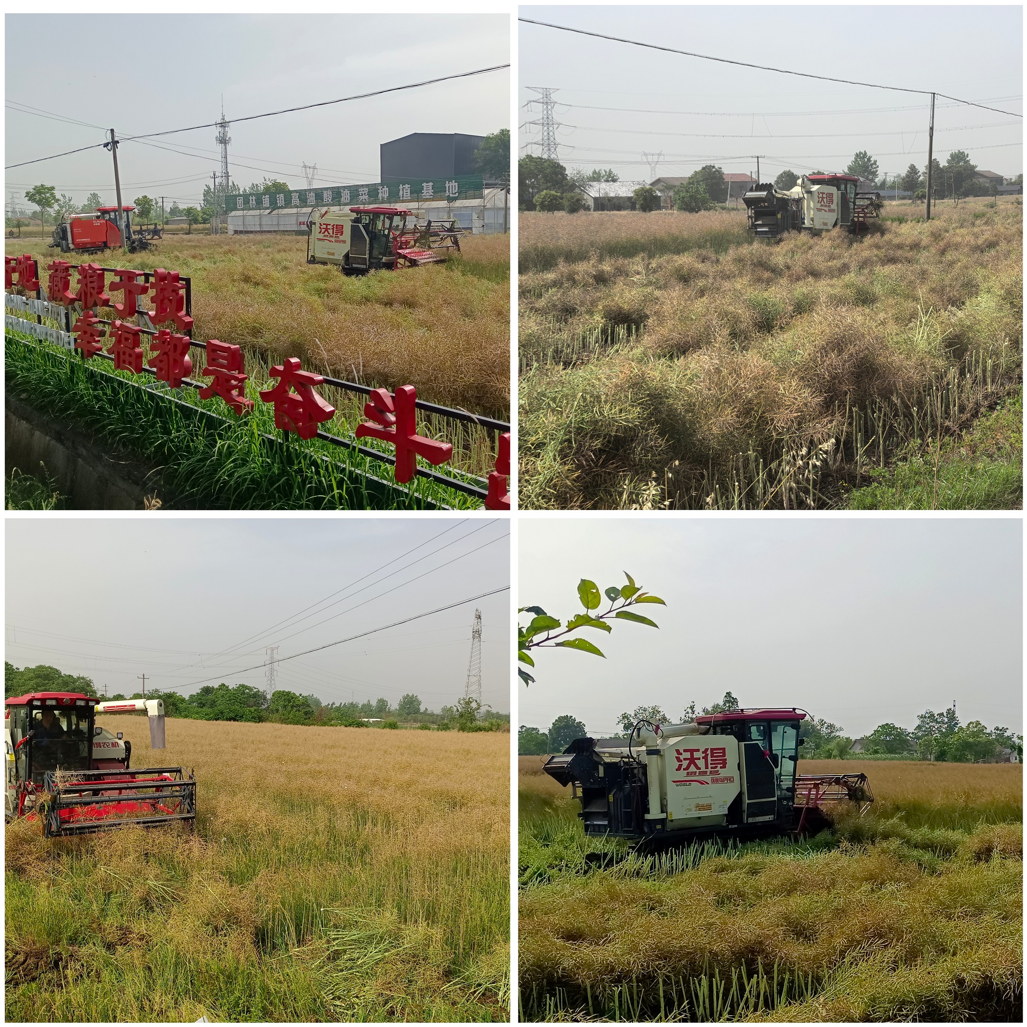 a75f1dafa009ab2b3ce9a5afebaa9f1