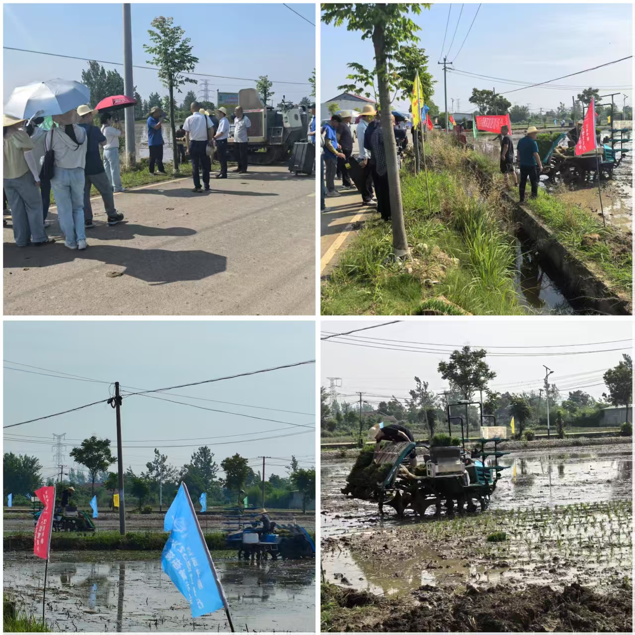 c0525ccf835edff51e623e6b177d682