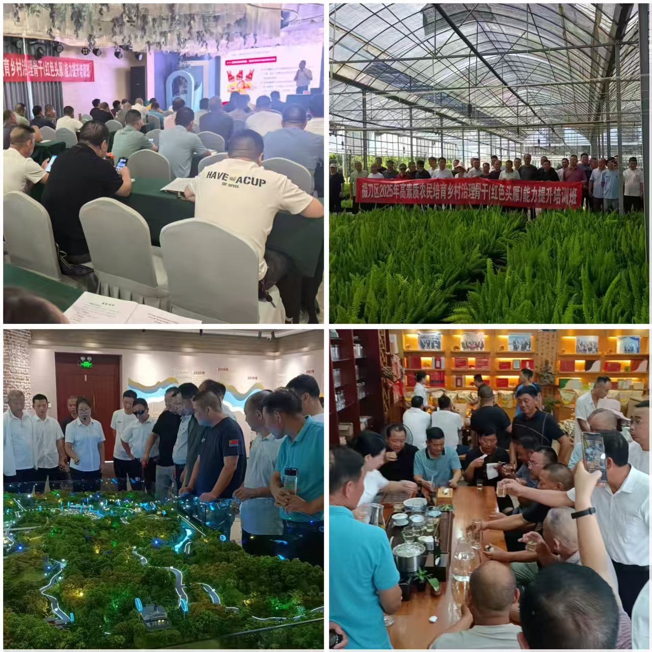 c981b80520dfae401b4f5f8564e74f6a c981b80520dfae401b4f5f8564e74f6a