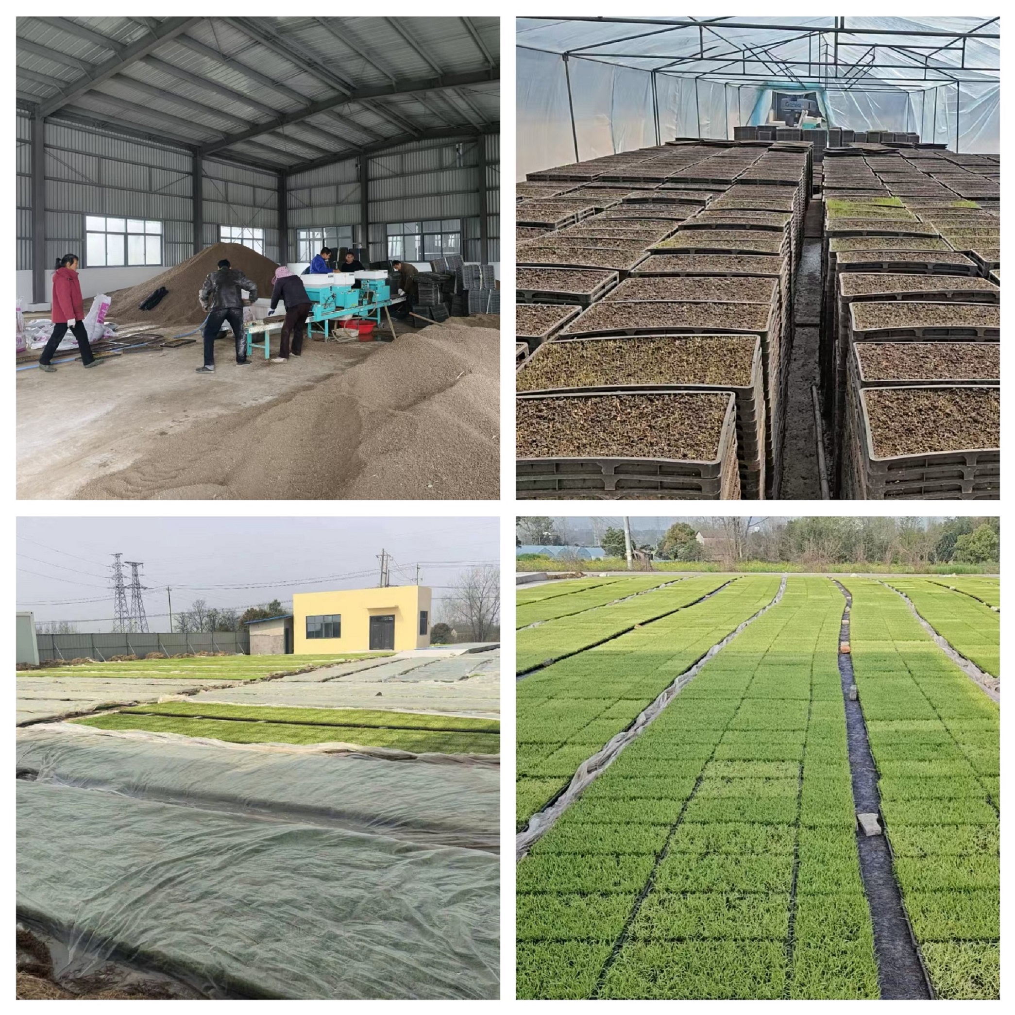 d660fe390f1e272e9e60c104138ff176